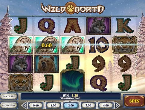 Призовая комбинация в игровом автомате Wild North