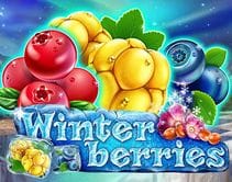 Winter Berries